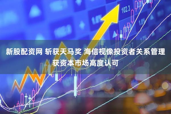 新股配资网 斩获天马奖 海信视像投资者关系管理获资本市场高度认可