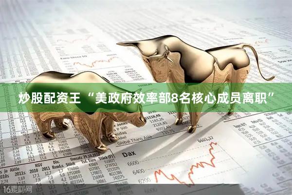 炒股配资王 “美政府效率部8名核心成员离职”