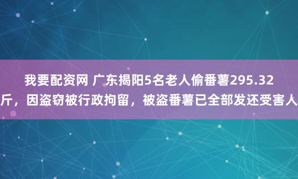 我要配资网 广东揭阳5名老人偷番薯295.32斤，因盗窃被行政拘留，被盗番薯已全部发还受害人